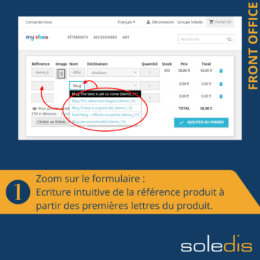 quick order - module Soledis