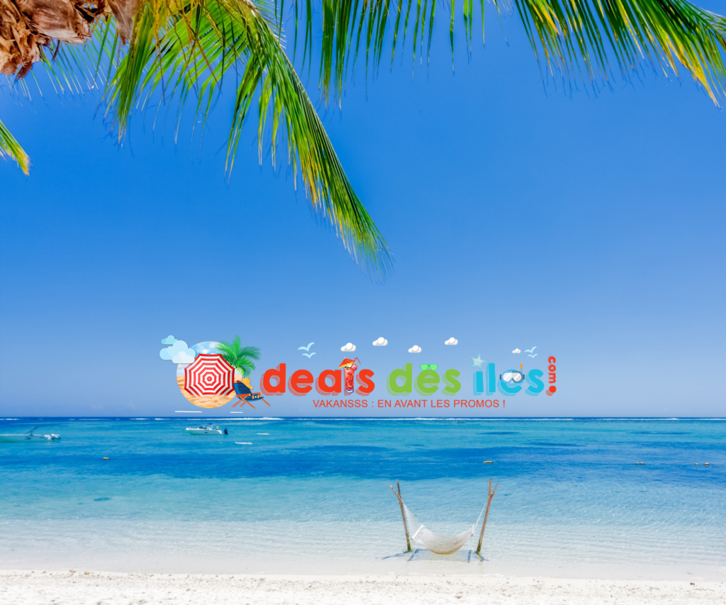 Cas client Soledis - refonte de site internet prestashop Deal des îles