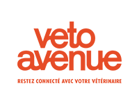 logo veto avenue - client agence seo soledis