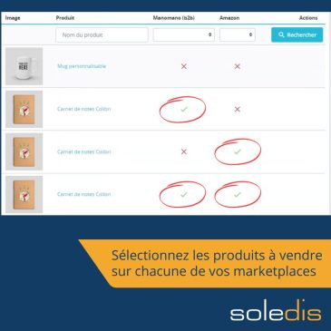 module prestashop pour filtrer les marketplaces - édité par l'agence Prestashop Soledis